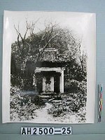 藏品(紹興大禹陵照片)的圖片